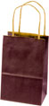 Plum Matte Pinstripe Paper Shopping Bags (Prime Size) 5.25 x 3.5 x 8.25