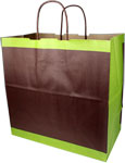 100% RECYCLED ENVIROMINT Design Medium Paper Shopping Bags 13 x 7 x 12.5"