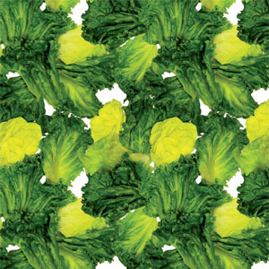 Go Green Print High Performance Waxed Tissue - 12