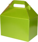 Shimmer Frost Leaf Medium Gable Boxes 8 x 4.88 x 5.25