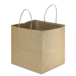 Brown Kraft Twisted Handle Shopping Bag - 10 x 9.85 x 10 in.