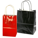 Gloss Color Shopping Bags