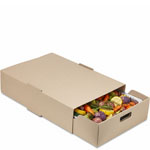 Large Catering Transport Trays