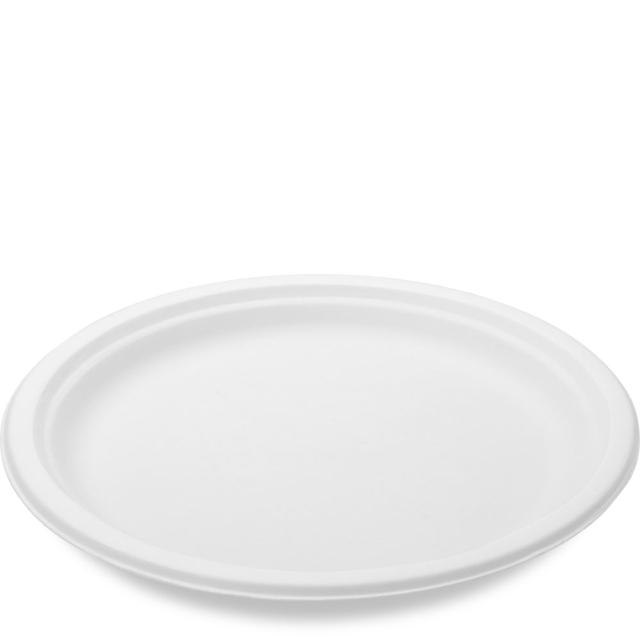 10" Sturdy Value White Sugar Cane Fiber Dinner Plate