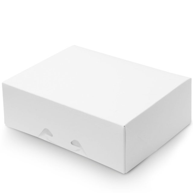 Tamper Evident Take Out Boxes - 9-1/4 x 7-3/8 x 3-1/8 in.