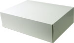 Large White Gloss Economy Lunch Boxes - 12.5 x 9.375 x 3.5"