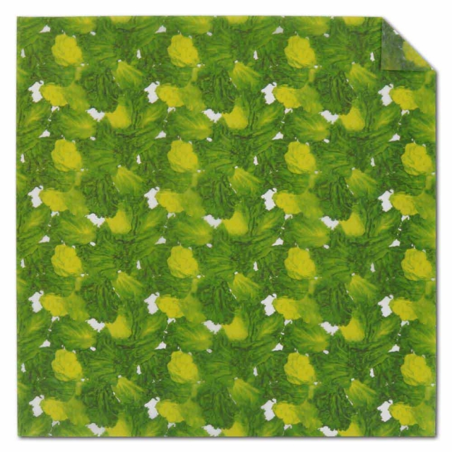 Go Green Print High Performance Waxed Tissue - 12" x 12"