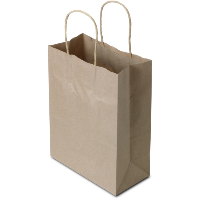 Brown Kraft Twisted Paper Handle Shopping Bags - 8 x 4 x 10 in.