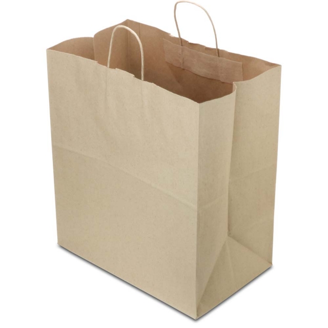 Brown Kraft Paper Shopping Bags - 14 x 10 x 15.75 x 10 in.