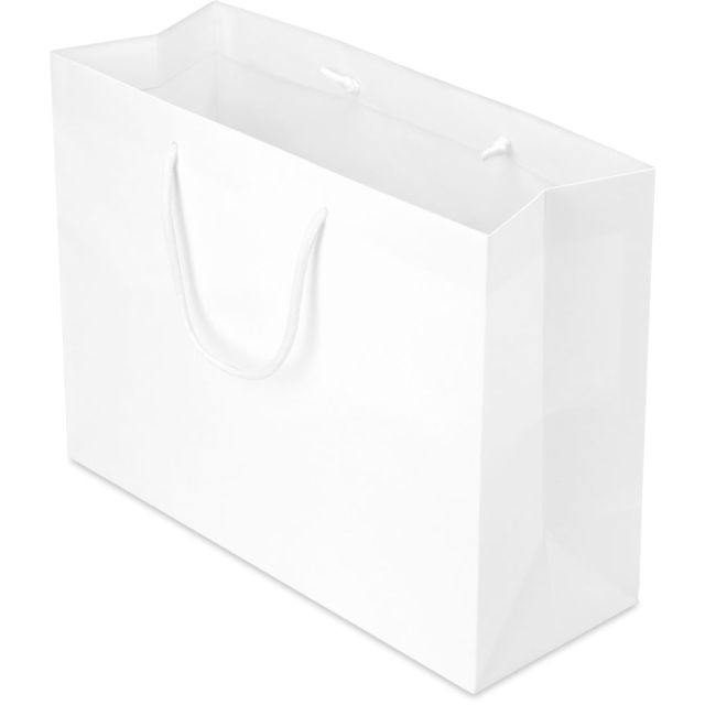 16 x 6 x 12 in. - White Matte Eurotote Paper Shopping Bags