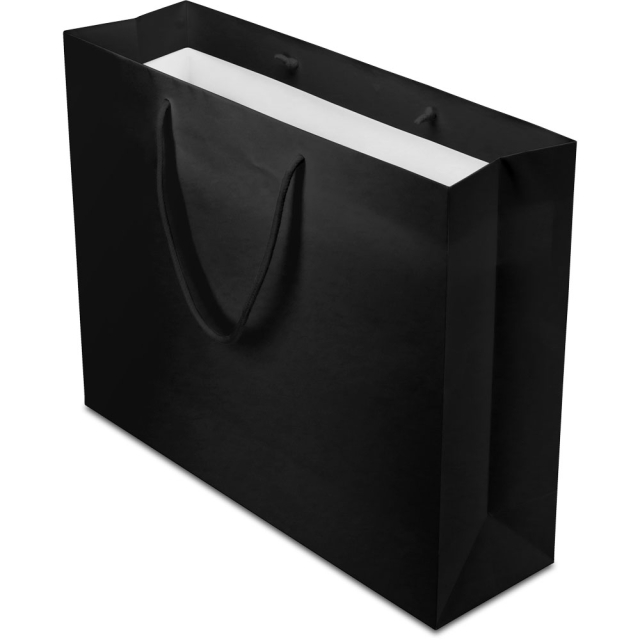 20 x 6 x 16 in. - Black Matte Heavy Duty Eurototes Paper Shopping Bags