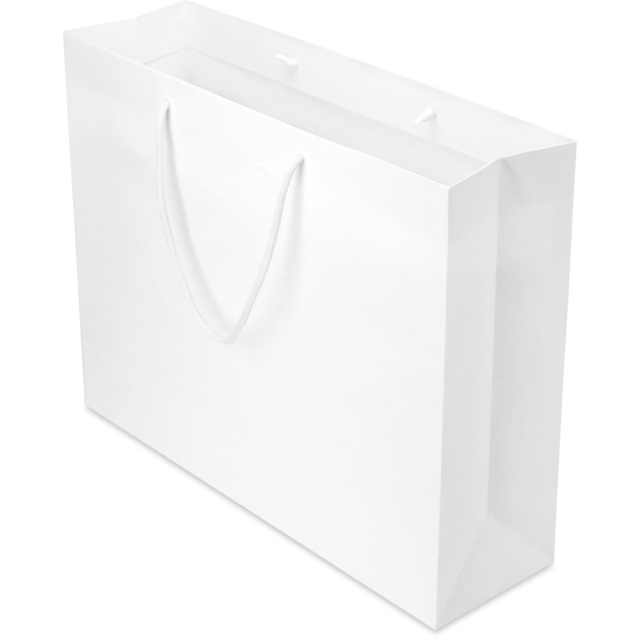 20 x 6 x 16 in. - White Matte Heavy Duty Eurototes Paper Shopping Bags