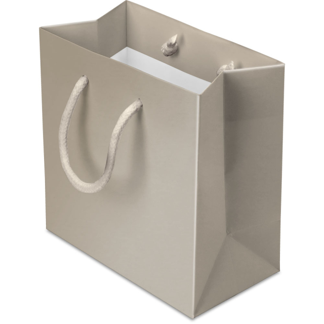 6.5 x 3.5 x 6.5 in. - Champagne Matte Eurotote Paper Shopping Bags