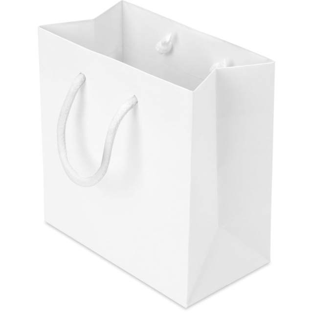 6.5 x 3.5 x 6.5 in. - White Matte Eurotote Paper Shopping Bags