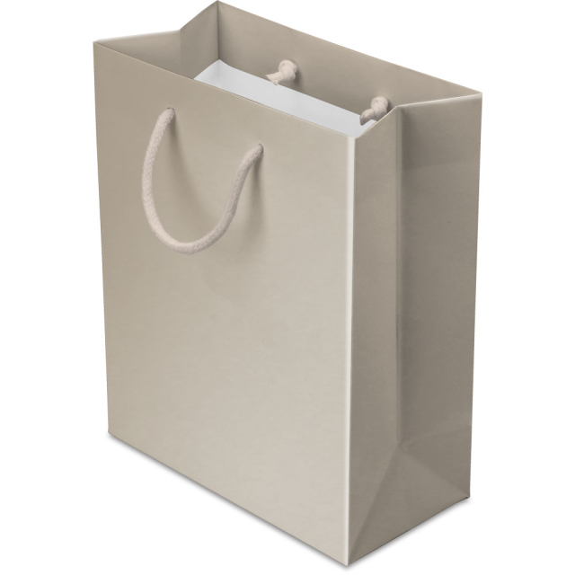 8 x 4 x 10 in. - Champagne Matte Eurotote Paper Shopping Bags