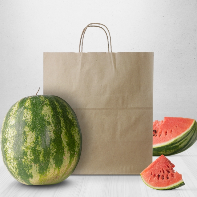 100% RECYCLED Brown Kraft Twisted Paper Handle Shopping Bags - 14" x 9.5" x 16"