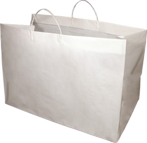 HDPE Side-by-Side Plastic Shopping Bags with Rigid Handle - 19 x 10 x 12" #5