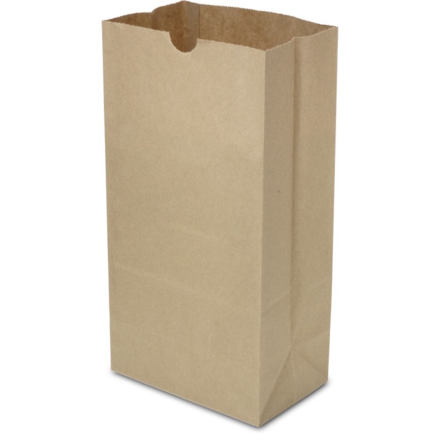 Natural Kraft 20# Paper SOS Bags