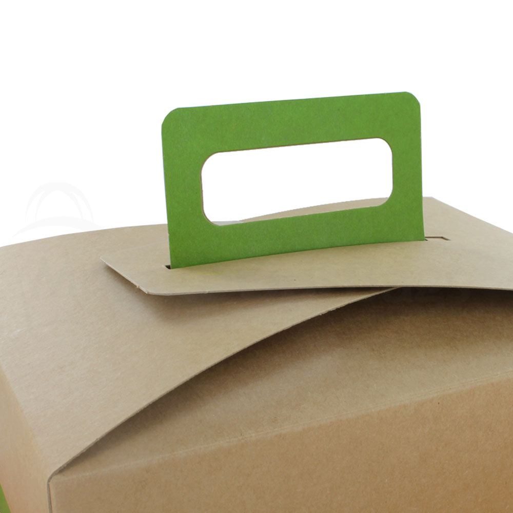 Citrus Green au Natural Disposable Lunch Box w/ Handle - 9 x 7 x 3 in.