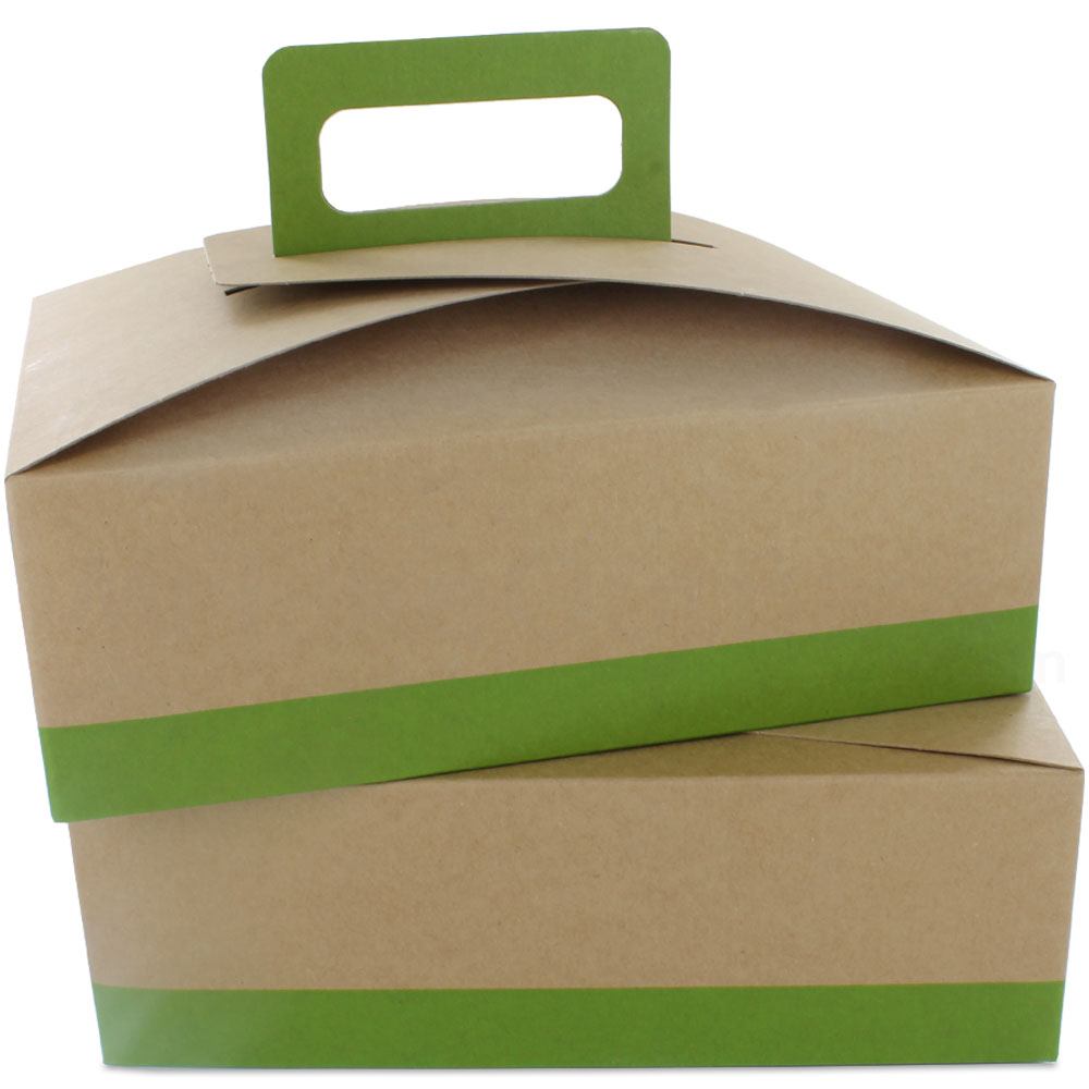 Citrus Green au Natural Disposable Lunch Box w/ Handle - 9 x 7 x 3 in.