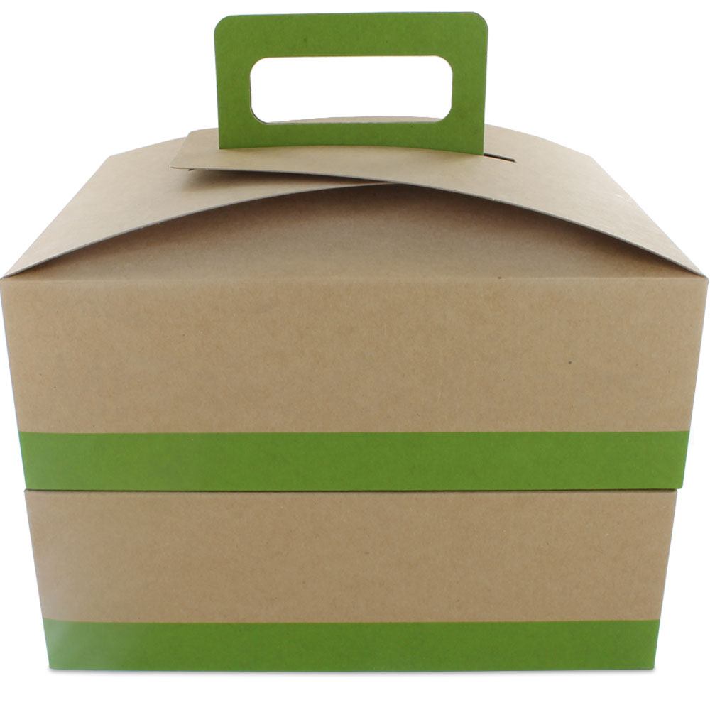 Citrus Green au Natural Disposable Lunch Box w/ Handle - 9 x 7 x 3 in.