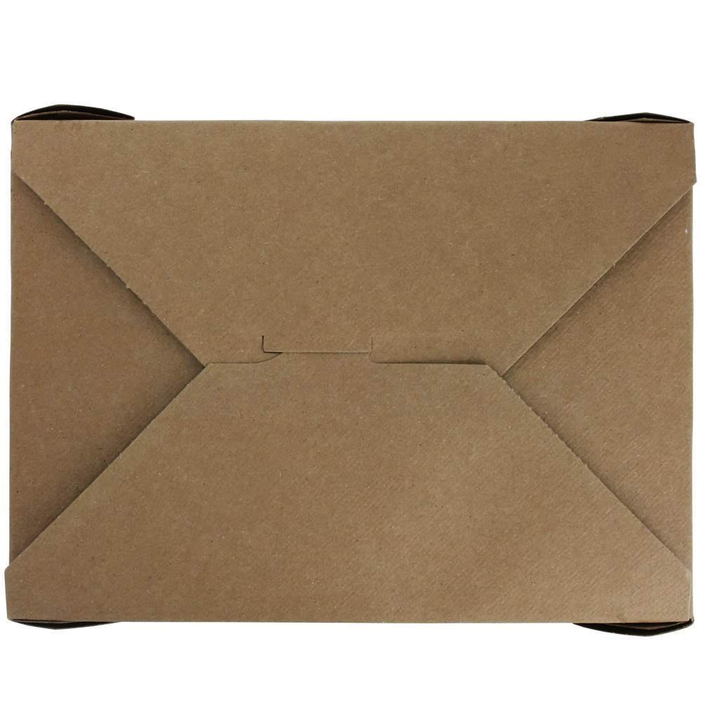 100 RECYCLED BioPlus Earth 3 Brown Kraft Food Boxes BioPlus EARTH