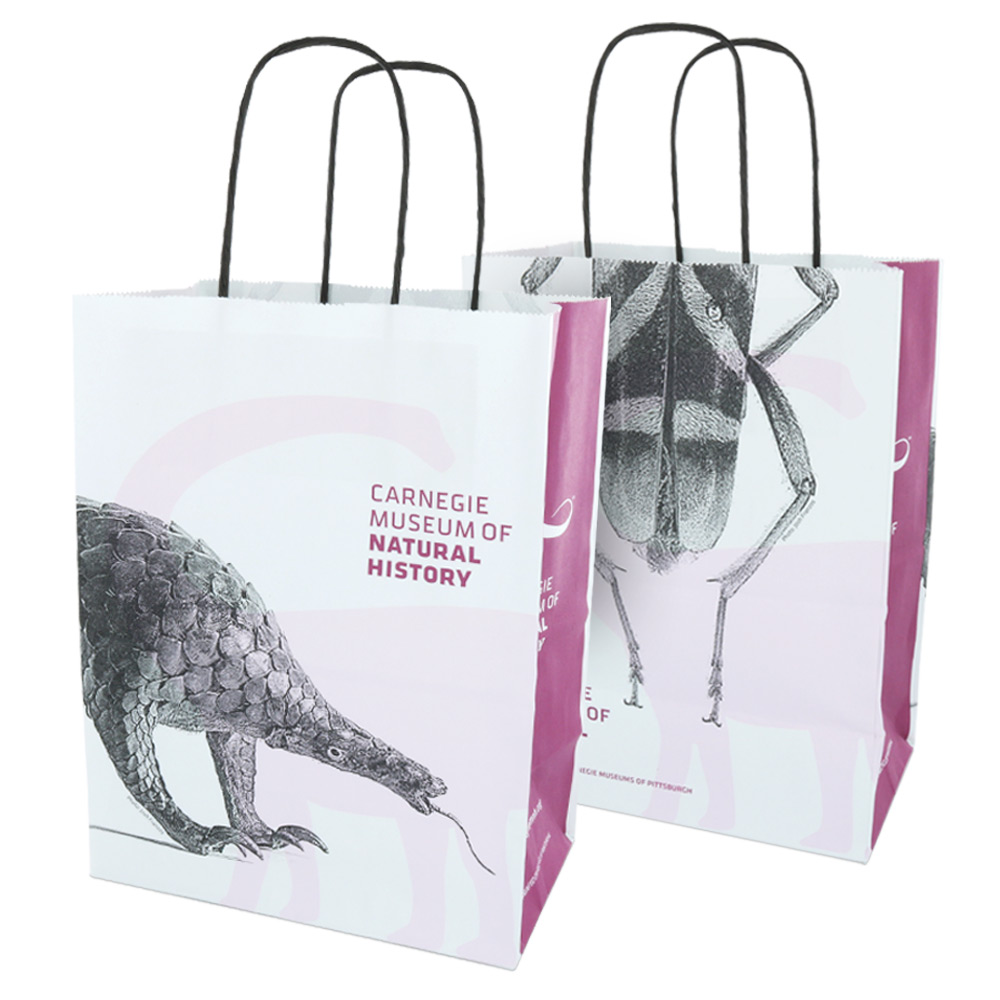 Custom Printed Paper Shopping Bags Wholesale Custom Shopping Bags