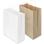 Paper Take Out Sized Shopping Bags